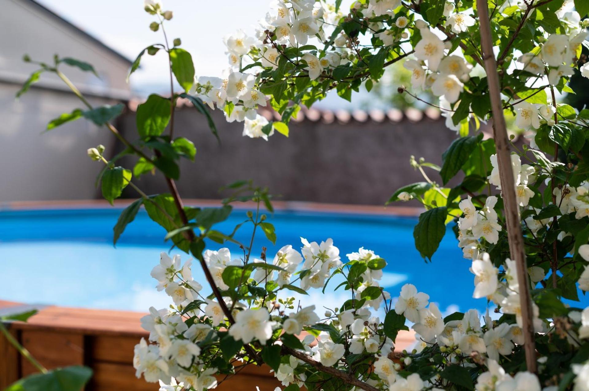 Agriturismo El Crear San Pietro In Cariano Esterno foto