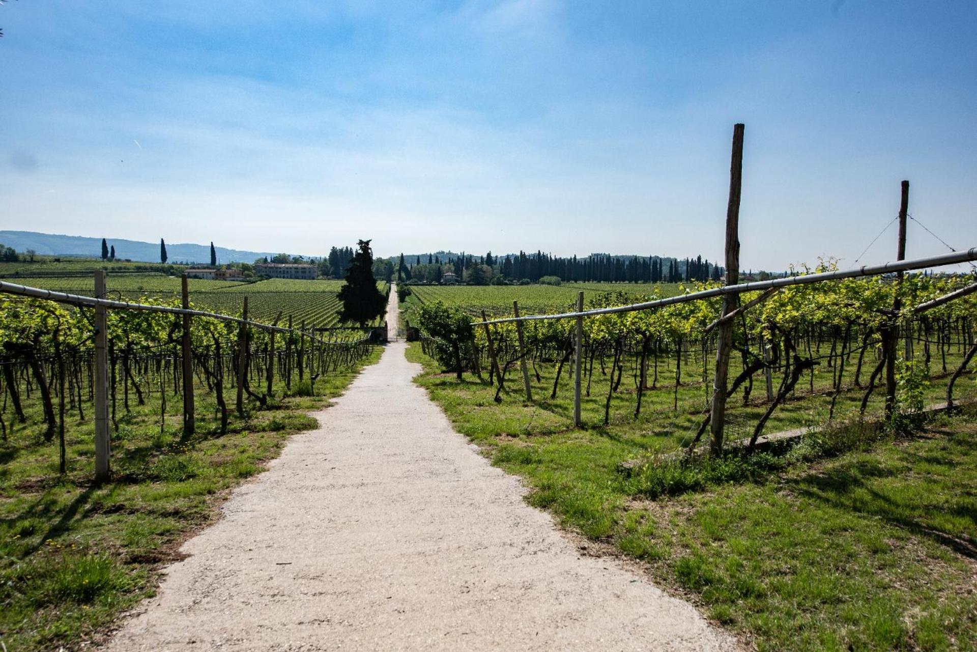 Agriturismo El Crear San Pietro In Cariano Esterno foto